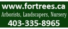 For all your landscaping and arbor care needs, give Gerard a call at For Trees Company, Trees for Life, Landscapes for Living.